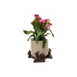 Jardinopia Leaping Stag Plant Pot Feet - Set of 3 - L3.5 x W5 x H7 cm in Bronze - thumbnail 4