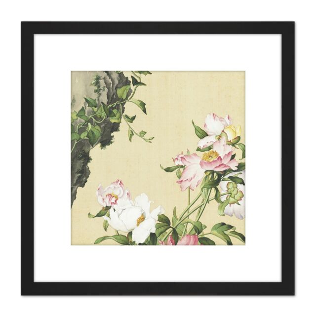 Artery8 Castiglione Paeonia Flower Plant Painting 8X8 Inch Square Wooden Framed Wall Art Print Picture with Mount in Black - image 1