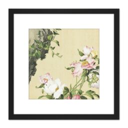 Artery8 Castiglione Paeonia Flower Plant Painting 8X8 Inch Square Wooden Framed Wall Art Print Picture with Mount in Black - thumbnail 1