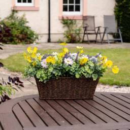 Scottish Everlastings Ltd 50cm Mixed Floral Outdoor Planter - thumbnail 1