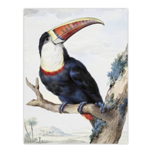 "Artery8 Red Billed Toucan Bird Painting Schouman Wall Art Poster Print in White - Size: W18"" x H24""" - image 1
