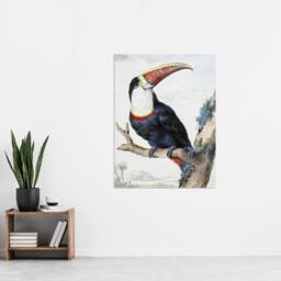"Artery8 Red Billed Toucan Bird Painting Schouman Wall Art Poster Print in White - Size: W18"" x H24""" - thumbnail 4