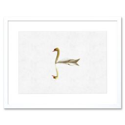 "Artery8 Wall Art Print Simple Swan Reflection Artwork Framed 9X7 Inch in White - Size: W7"" x H9""" - thumbnail 1