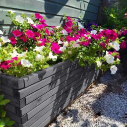 Access Garden Products Pine raised trough planter (L) 140cm × (H) 40cm × (D) 40cm in Grey - thumbnail 5