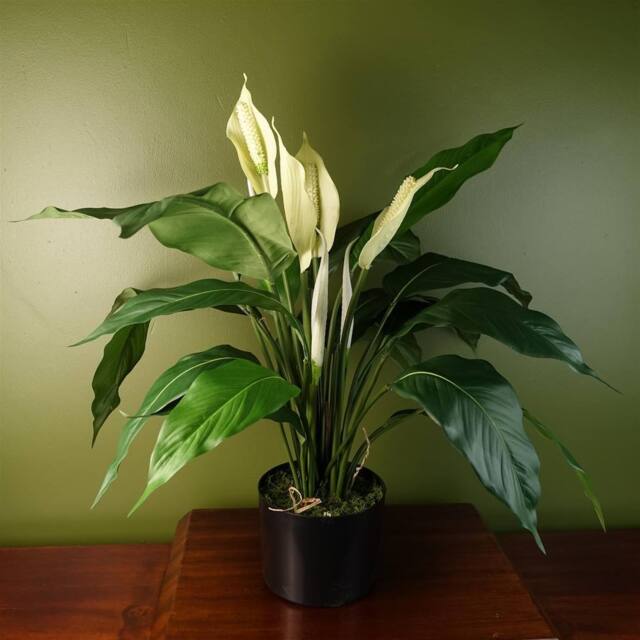 Leaf Artificial Faux Peace Lily White Spathiphyllum - image 1