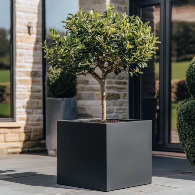 Woven Wood 60cm Zinc Galvanised Matte Black Square Planter - image 1