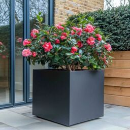 Woven Wood 60cm Zinc Galvanised Matte Black Square Planter - thumbnail 3