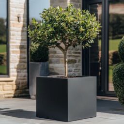 Woven Wood 60cm Zinc Galvanised Matte Black Square Planter - thumbnail 1