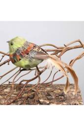 KDMD Green Bird with clip 2 Pack Christmas Ornament