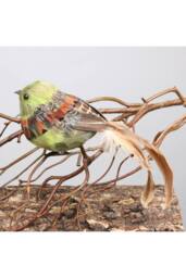 KDMD Green Bird with clip 2 Pack Christmas Ornament - thumbnail 5