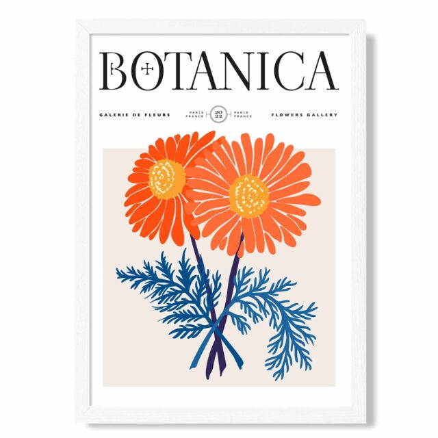ARTZE Blue & Orange Chrysanthemum Flower Market Exhibition Framed Print SIZE: A2 with White Frame - Size: A4 - image 1