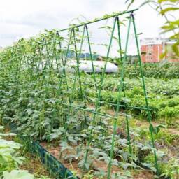 VOGREX 160cm A-Frame Garden Trellis Climbing Plant Support Stand Full Set in Green - thumbnail 3