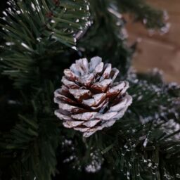 Samuel Alexander 8ft (2.4m) Tall Rocky Mountain Pine Christmas Tree with 1769 Snow Tipped Branches & Pinecones in Green - thumbnail 2