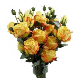 Leaf 6 x 60cm Yellow Rose Artificial Flower Sprays - 24 Flowers 18 Buds - Size: 6 x 60 cm - thumbnail 2