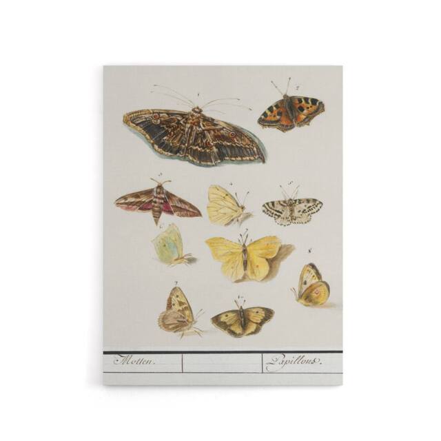 "Artery8 Butterflies & moths Anselmus de Boodt Canvas Wall Art Print in White - Size: W12"" x H16""" - image 1