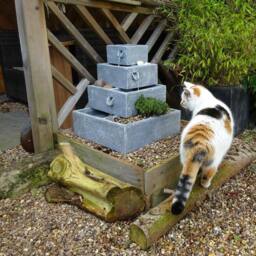 Primrose Solar Powered 4-Tier Herb 'Perth 'Planter Cascading Water Feature 42cm in Stone - thumbnail 3