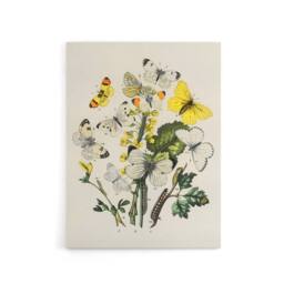 "Artery8 Caterpillars & Butterflies Kirby Vintage Canvas Wall Art in White - Size: W18"" x H24""" - thumbnail 1