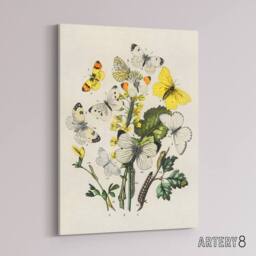 "Artery8 Caterpillars & Butterflies Kirby Vintage Canvas Wall Art in White - Size: W18"" x H24""" - thumbnail 2