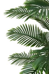 Living and Home 160cm Artificial Palm Tree Potted for Garden, Office & Home Decor in Green - thumbnail 4