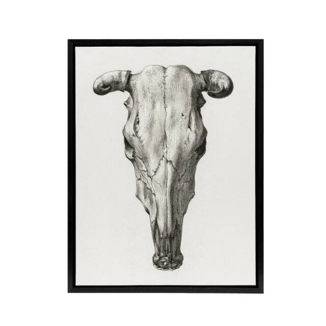 "Artery8 Skull of a Cow Pencil Drawing Bernard Vintage Framed Canvas Wall Art in White - Size: W12"" x H16""" - image 1