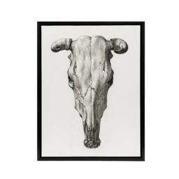 "Artery8 Skull of a Cow Pencil Drawing Bernard Vintage Framed Canvas Wall Art in White - Size: W12"" x H16""" - thumbnail 1
