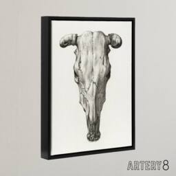 "Artery8 Skull of a Cow Pencil Drawing Bernard Vintage Framed Canvas Wall Art in White - Size: W12"" x H16""" - thumbnail 2