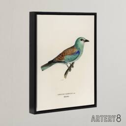 "Artery8 European Roller Bird Von Wright Vintage Black Framed Canvas Wall Art in Beige - Size: W12"" x H16""" - thumbnail 2