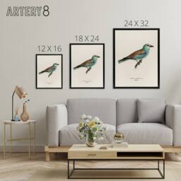 "Artery8 European Roller Bird Von Wright Vintage Black Framed Canvas Wall Art in Beige - Size: W12"" x H16""" - thumbnail 4