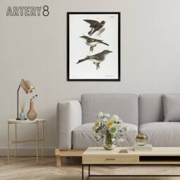 "Artery8 James De Kay Cliff Swallow Flycatcher & Sayornis Framed Canvas Art in White - Size: W12"" x H16""" - thumbnail 3