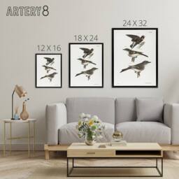 "Artery8 James De Kay Cliff Swallow Flycatcher & Sayornis Framed Canvas Art in White - Size: W12"" x H16""" - thumbnail 4