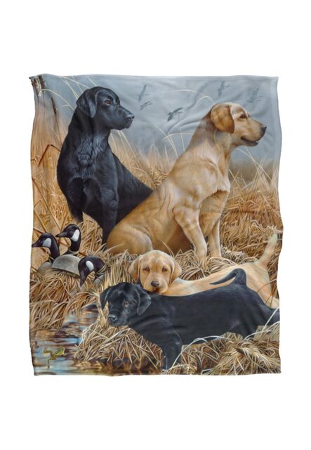 JQ Licensing Jg-Jp Labrador Hunting Dogs Silky Touch Super Soft Throw Blanket 152 X 127 cm in White - image 1