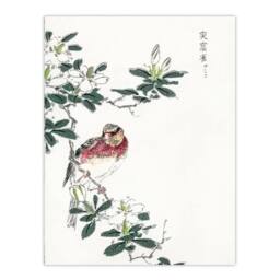 "Artery8 Long Tailed Rosefinch Japanese Japan Wall Art Print Numata Kashu - Size: W12"" x H16""" - thumbnail 1