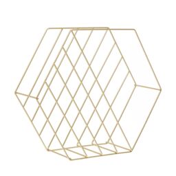 Orsina Functional Hexagonal Basket, Stylish Wireframe Basket For Kitchen, High Quality Contemporary Basket in Gold