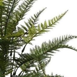 Leaf 78cm Fire Retardant Artificial Fern Foliage Branch in Green - thumbnail 3