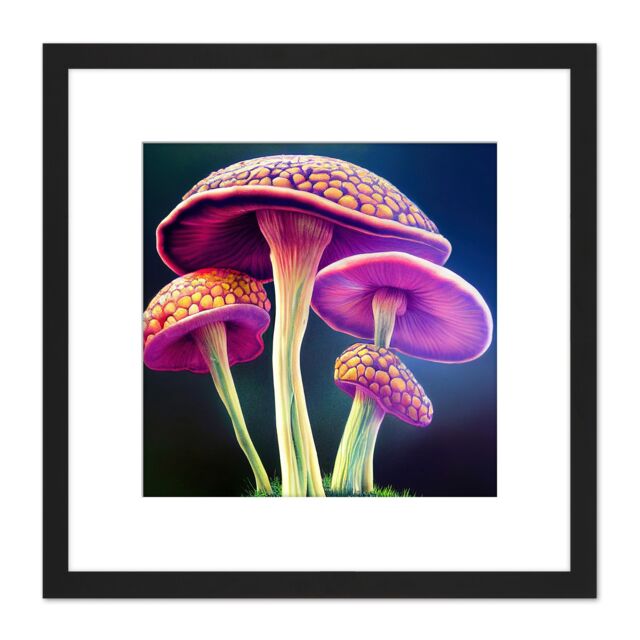 Artery8 Fantasy Magic Mushrooms Vibrant Colour Fungi Modern Illustration Square Wooden Framed Wall Art Print Picture 8X8 Inch in Black - image 1