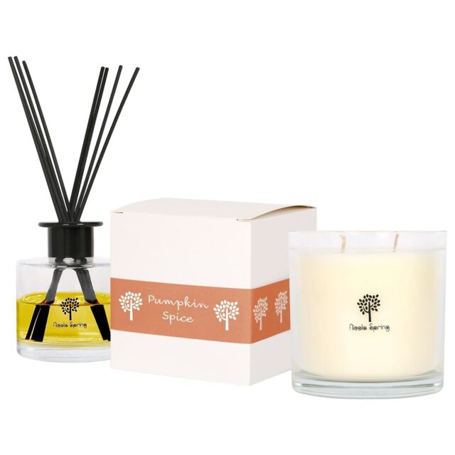 Nicola Spring 400g Soy Wax Scented Candle & Reed Diffuser Set - Pumpkin Spice in Clear - image 1