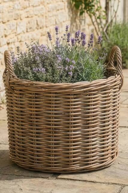 Dibor Traditional Oval Large Indoor Planter Basket with Handles in Natural - image 1