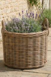 Dibor Traditional Oval Large Indoor Planter Basket with Handles in Natural - thumbnail 1