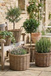 Dibor Traditional Oval Large Indoor Planter Basket with Handles in Natural - thumbnail 4