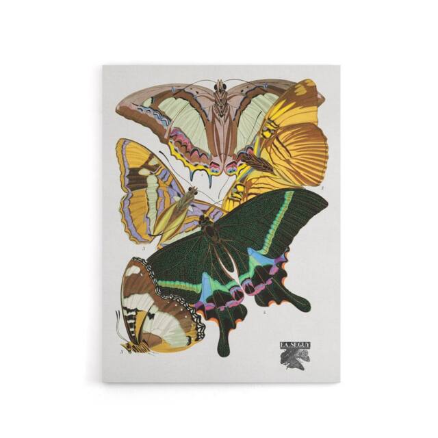 "Artery8 Bright Vintage Butterflies Papillons Canvas Wall Art Print Seguy - Size: W18"" x H24""" - image 1