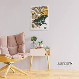 "Artery8 Bright Vintage Butterflies Papillons Canvas Wall Art Print Seguy - Size: W18"" x H24""" - thumbnail 3