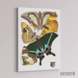 "Artery8 Bright Vintage Butterflies Papillons Canvas Wall Art Print Seguy - Size: W18"" x H24""" - thumbnail 2