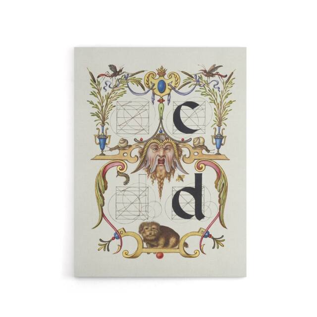 "Artery8 Pictoral Letter Guide C & D Calligraphy Canvas Wall Art Print in White - Size: W12"" x H16""" - image 1