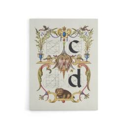 "Artery8 Pictoral Letter Guide C & D Calligraphy Canvas Wall Art Print in White - Size: W12"" x H16""" - thumbnail 1