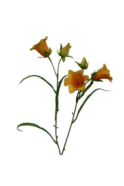 KDMD Orange Bell Flower 58cm 2 Pack - image 1