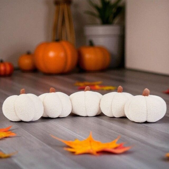Garden Greatness Autumn Harvest 5 Pumpkin Draft Excluder in White - Size: 1 Pack