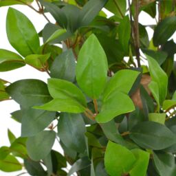 Berkfield Home Artificial Plant Laurel Tree with Pot Green 150 cm - thumbnail 2