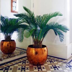 Leaf Large Artificial Palm Tree 80cm Cycas Realistic Plant Design UK Botanik in Green - thumbnail 1