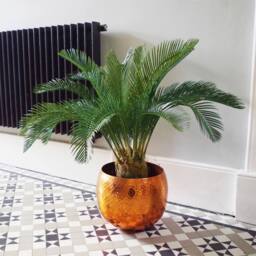 Leaf Large Artificial Palm Tree 80cm Cycas Realistic Plant Design UK Botanik in Green - thumbnail 5