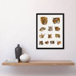 Artery8 Wild Animal Safari Big Cats Illustration Lydekker Framed Wall Art in White - Size: A3 - thumbnail 2